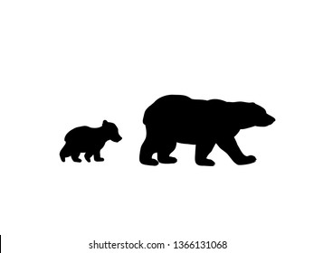 Bruin Icons Free Vector Download Png Svg Gif