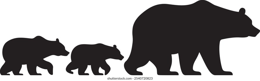 Bear Family isolated on white background
