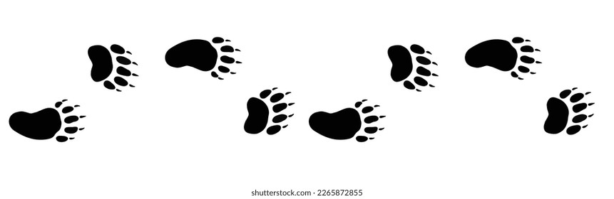 Bear footprint. Paw vector foot trail print of bear. For t-shirts, backgrounds, patterns, design, greeting cards, child prints. Vector illustration. 