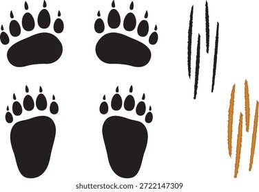 Conjunto de ilustração de marcas de garra e pegadas de urso
