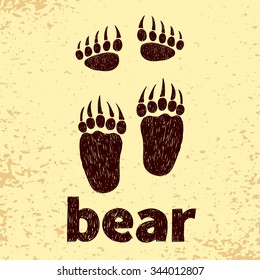 Bear footprints, front and hind paws. Doodle vector illustration. 
