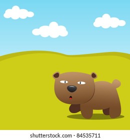 Bear in the forest