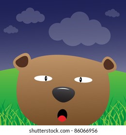 Bear in the forest