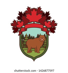 Bear forest animal of canada design