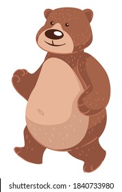 Bear with friendly facial expression on face. Isolated animal with furry coat walking. Endangered species living in wild habitat, zoo or wilderness. Carnivore creature in park, vector in flat