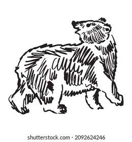 bear graphic design vector illustration, tattoo art sketch, hand draw, use in print