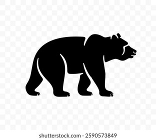 Bear, grizzly and kodiak, animal and nature, graphic design. Bearish, predator, beast and wildlife, vector design and illustration