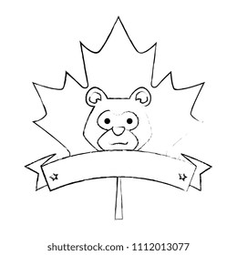bear grizzly in maple leaf