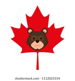 bear grizzly in maple leaf