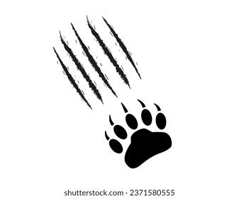 Bären oder Grizzly Paw Druck mit Kratzern. Kalksteine, Schnitte, Wunden. Schwarze Silhouette auf weißem Hintergrund. Monster, Raubtier. Wilde Tierpfeffer mit Glattmarken. Vektorgrafik. Symbol, Druck, Tätowierung, Emblem, Zoo