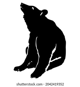 Bear, grizzly, sitting, wild animal living in forest, wildlife, beast, predator, carnivore, mammal, vector, illustration in black and white color, isolated on white background