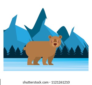 bear grizzly in winter forest landscape