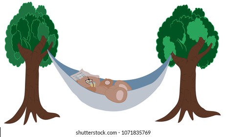bear in the hammock