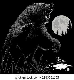 Bear hand drawing, wild animal realistic drawing, vector illustration