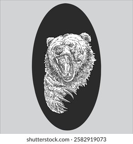Bear hand drawn illustration artwork