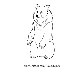 Bear. Hand drawn Vector illustration.