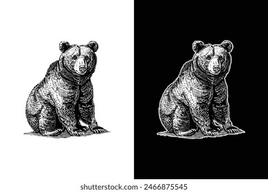 bear, hand drawn woodcut engraving style vintage antique vector illustration