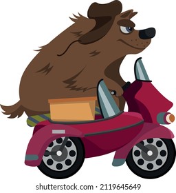 A bear in a hat rides a motorcycle with a mailbox