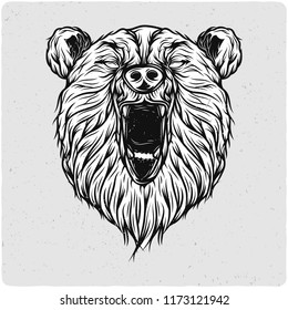 Bear head. Black and white illustration. Isolated on light backgrond with grunge noise and frame.