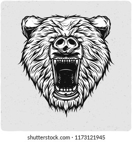 Bear head. Black and white illustration. Isolated on light backgrond with grunge noise and frame.
