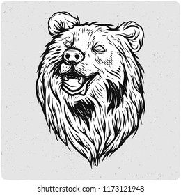 Bear head. Black and white illustration. Isolated on light backgrond with grunge noise and frame.
