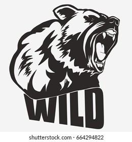 Bear head cartoon, Grizzly Mascot Hand drawn Emblem, Wild animal t-shirt design. Vector