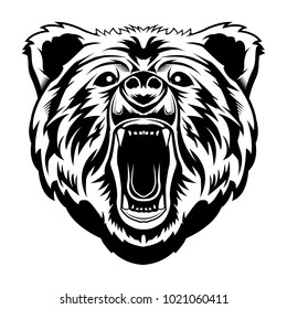 Bear Head Illustration Detailed Vector Isolated