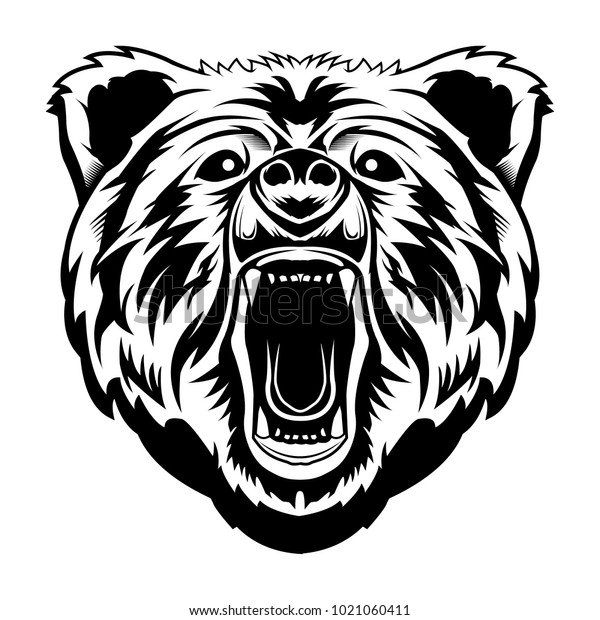 Bear Head Illustration Detailed Vector Isolated Stock Vector (Royalty ...