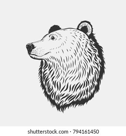 Bärenkopf einzeln auf weißem Hintergrund.Vektorgrafik.