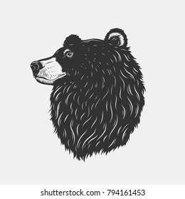 Bear head isolated on white background.Vector illustration.