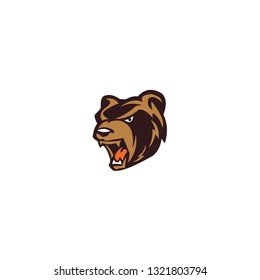Bear head mascot