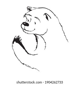 bear head and paw. vector onk sketch