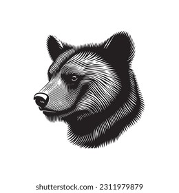 Bear head sketch hand drawn vector, engraving style. Wild animals Vector illustration