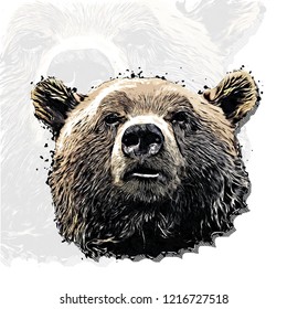 Bear head vector colorful realistic hand-drawn sketch style isolated illustration with big transparent bear background