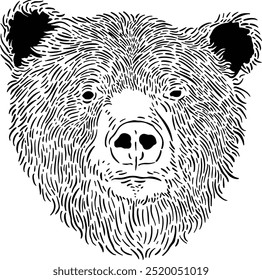 Vector de cabeza de oso  