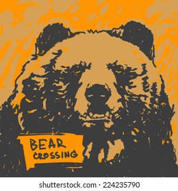 Bear head vector graphic illustration 