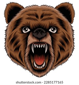 bear head vector illustration in detailed style