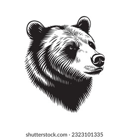 Bear head vector illustration on a white background. Vintage bear illustration