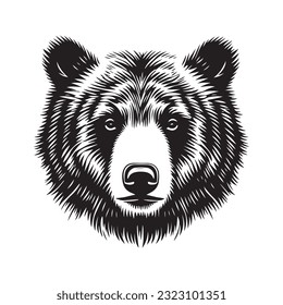 Bear head vector illustration on a white background. Vintage bear illustration