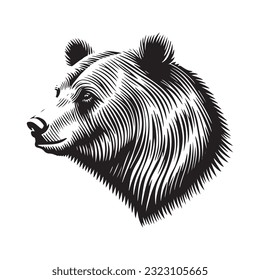 Bear head vector illustration on a white background. Vintage bear illustration