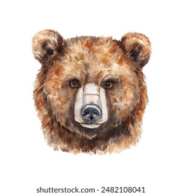 bear head vector illustration in watercolour style