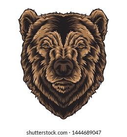 bear head vector and logo