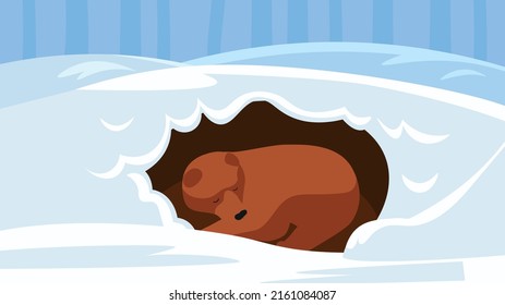 Bear hibernating in a den in winter