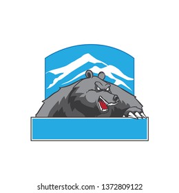 Bear with ice mountain background