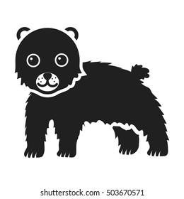 Bear icon in black style isolated on white background. Animals symbol stock vector illustration.