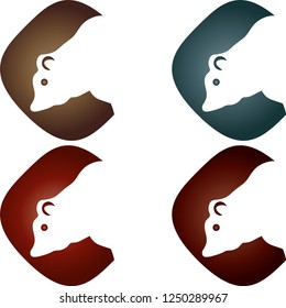 Bear icon in different colors