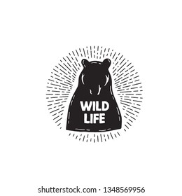 Bear icon. Hand drawn typography wild life with bear silhouettes. Vector illustration isolated on white background. - Vector 