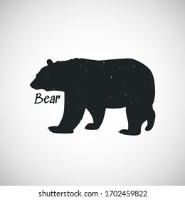 Bear icon. Illustration of vector concept for design. isolated in a white background