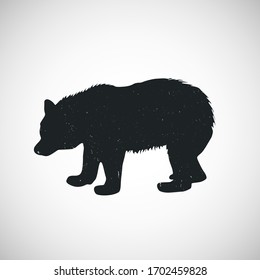 Bear icon. Illustration of vector concept for design. isolated in a white background