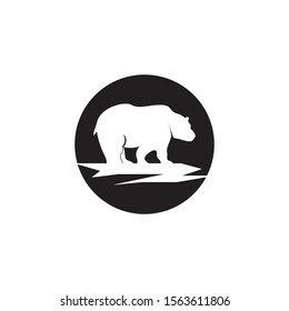 Bear icon and symbol vector illustration